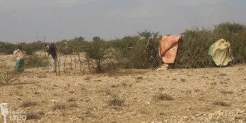 Qoysas go’doon iyo nolol xumo ku wajahaya Mudug markii ay guuri kari waayeen