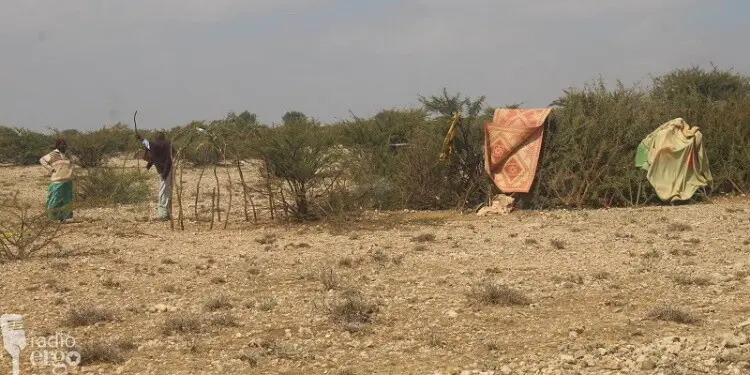 Qoysas go’doon iyo nolol xumo ku wajahaya Mudug markii ay guuri kari waayeen