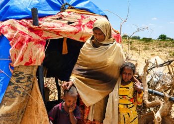 Clan conflict in Sool destroys family livelihoods and forces hundreds to flee