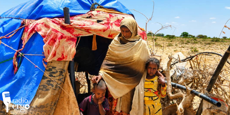 Clan conflict in Sool destroys family livelihoods and forces hundreds to flee