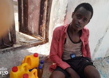 Trade in honey sweetens livelihood challenges for poor families in Merka