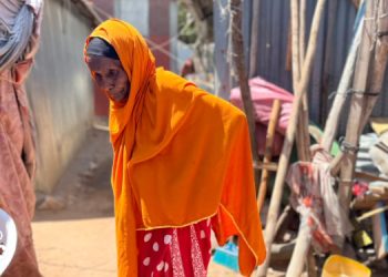 Hargeisa road expansion bulldozes IDPs’ small businesses