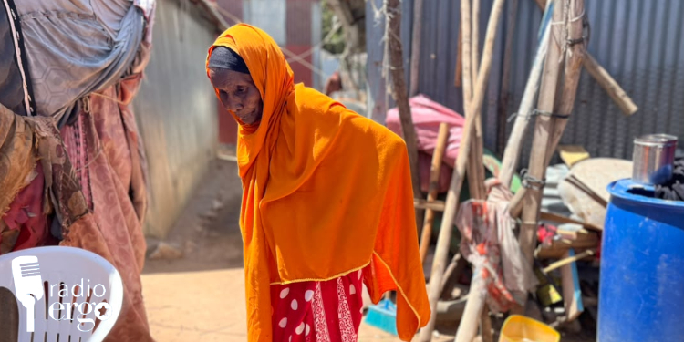Hargeisa road expansion bulldozes IDPs’ small businesses