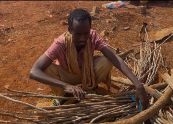 IDP families kicked off Baidoa land lose their assets, income, schools, and health centre